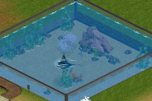 screenshot-pc-zoo-tycoon-marine-mania007379A1A8D-E0BB-AE9D-A6BA-28E5AF4467E7.jpg