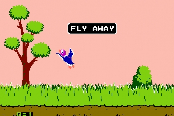 204071-duck-hunt156BF6963-6BCF-66DD-D344-8B7995D63FC8.jpg