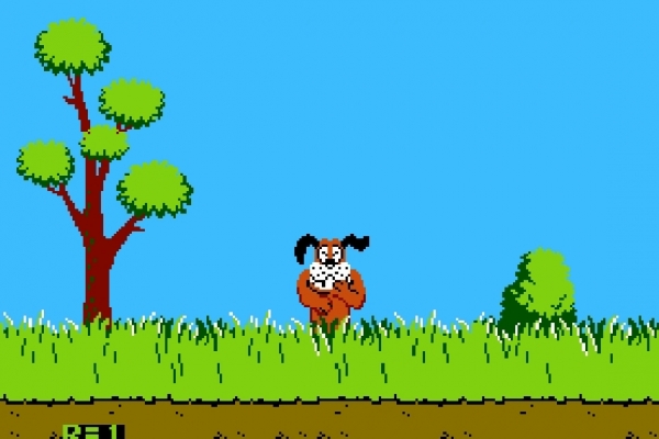 204075-duck-hunt2A362AF82-C516-C97D-4263-263D2982E436.jpg