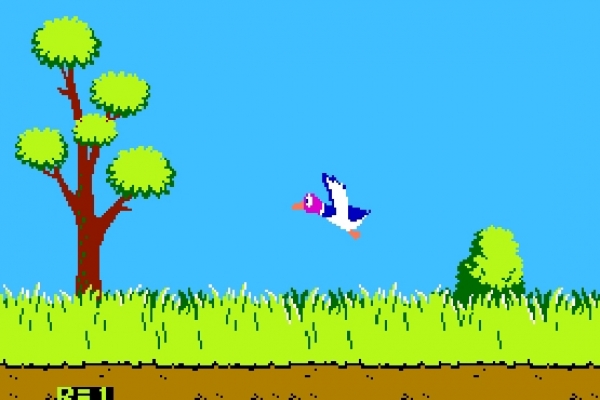204174-duck-hunt3-copyBAA2FCDC-BDE1-499F-62E5-59689555AEA3.jpg