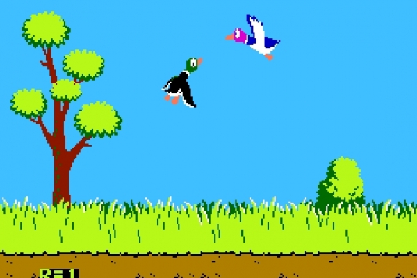204174-duck-hunt353981715-1D12-1BB8-C22D-88ADCFABE9AC.jpg